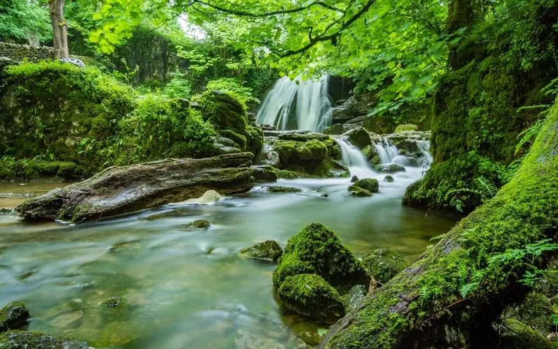 电子全自动可靠性
